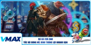 Đá Gà Cựa Dao – Tốc Độ Bùng Nổ, Rinh Thắng Lợi Nhanh Gọn
