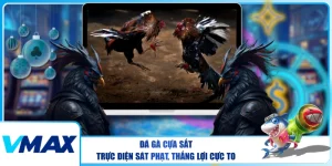 Đá Gà Cựa Sắt – Trực Diện Sát Phạt, Thắng Lợi Cực To