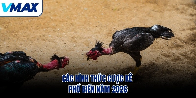 Các hình thức cược kê phổ biến năm 2026