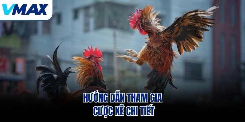 Hướng dẫn tham gia cược kê chi tiết