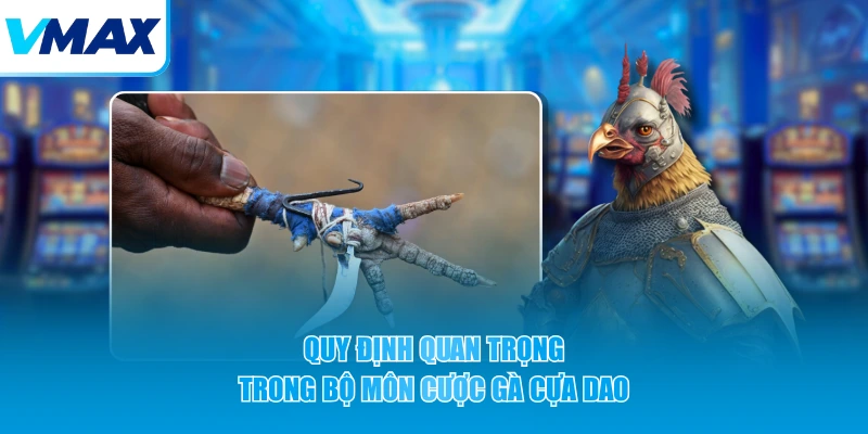 Quy định quan trọng trong bộ môn cược gà cựa dao
