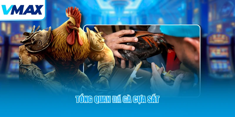 Tổng quan đá gà cựa sắt